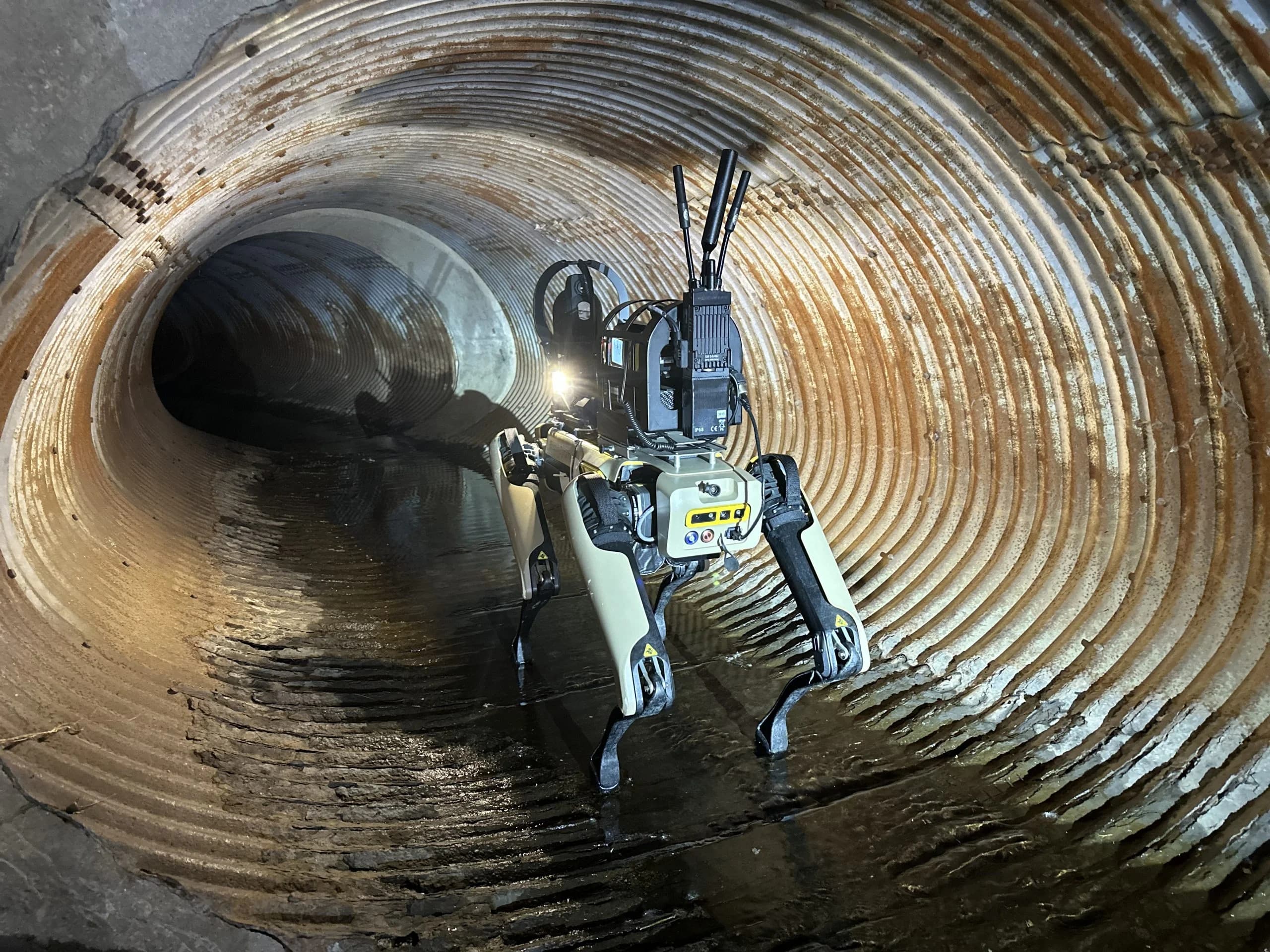 "Boston Dynamics" əməkdaşları robot itlərin ICE-yə satışına etiraz edib